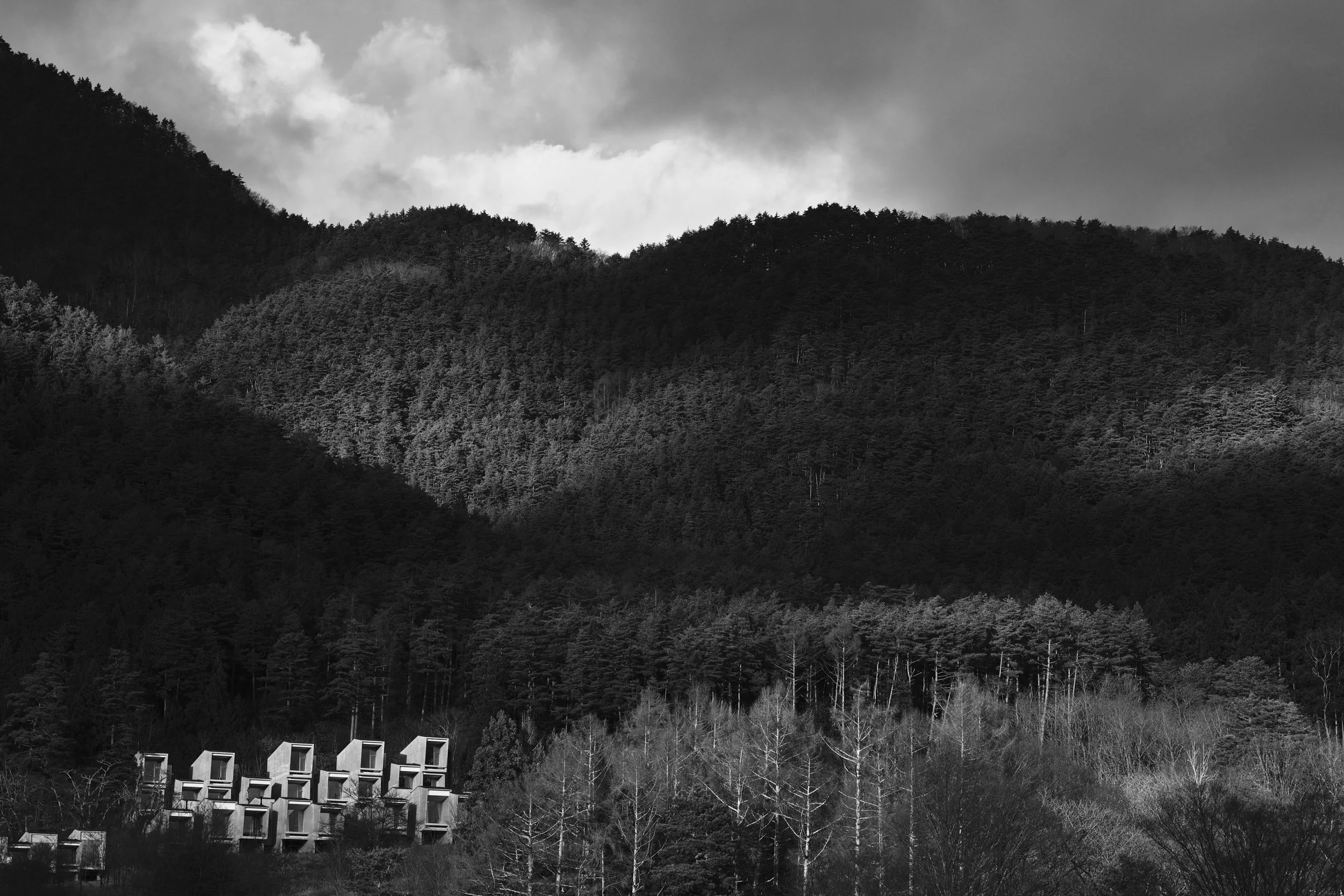 DSCF4668.jpg