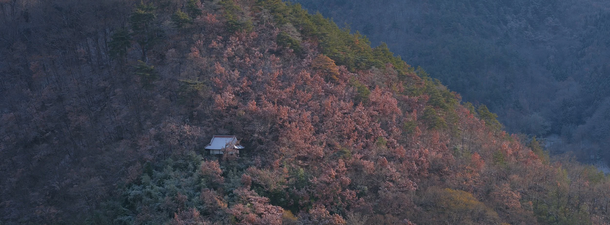 DSCF4090.jpg