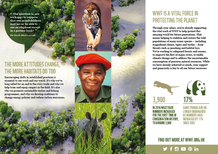 Leaflet2.jpg