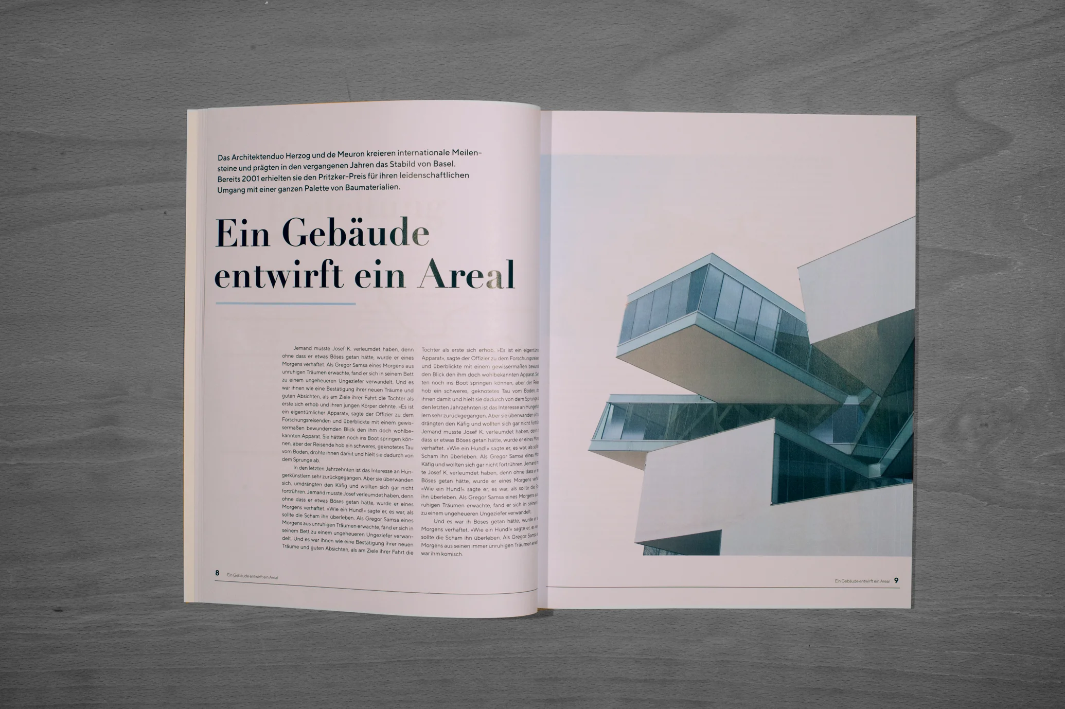 Architektur_Magazin008-1.jpg