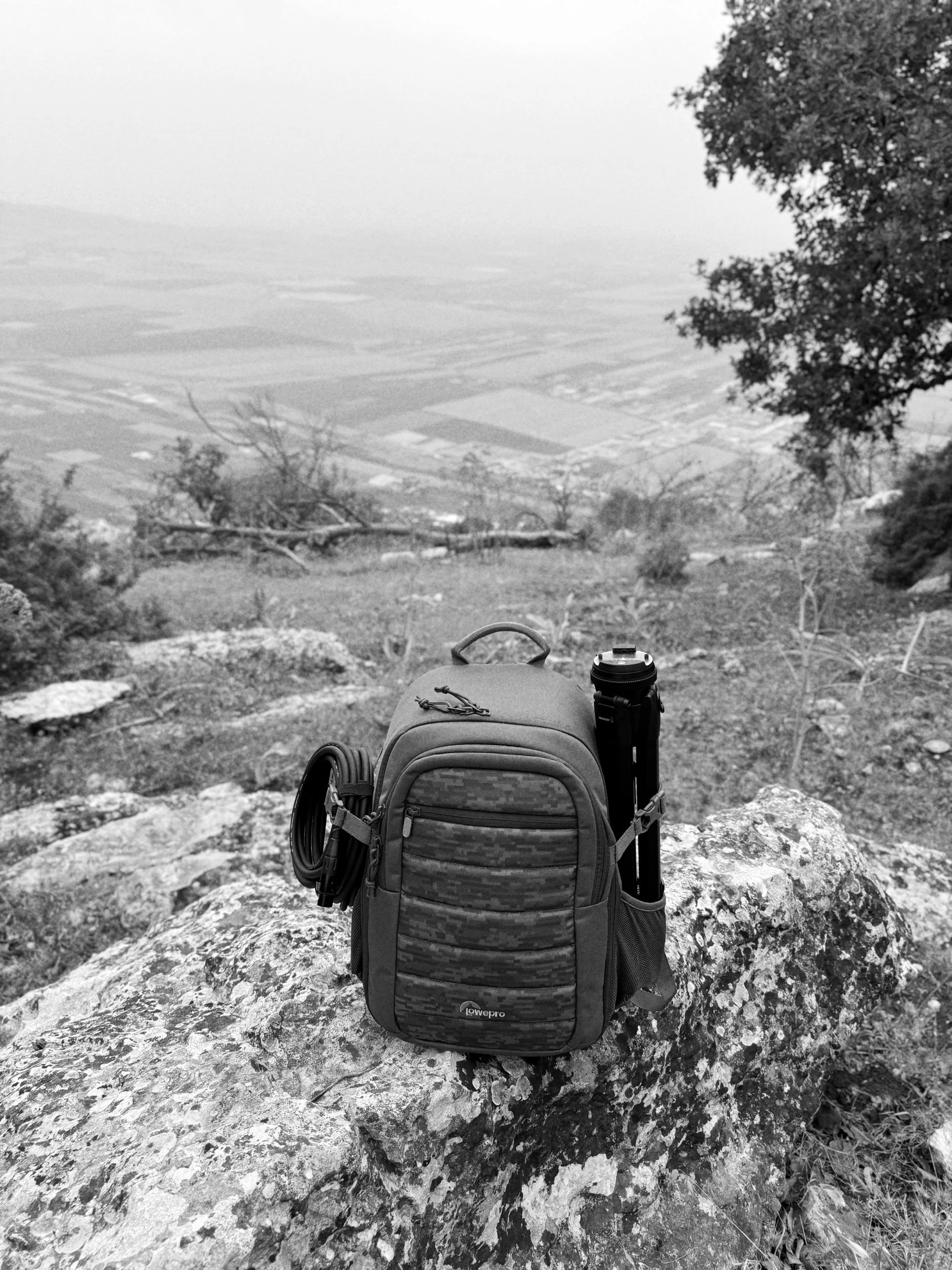 Why Israel? 🇮🇱