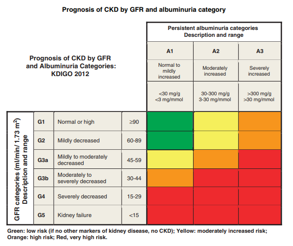 Chronic Kidney Disease —