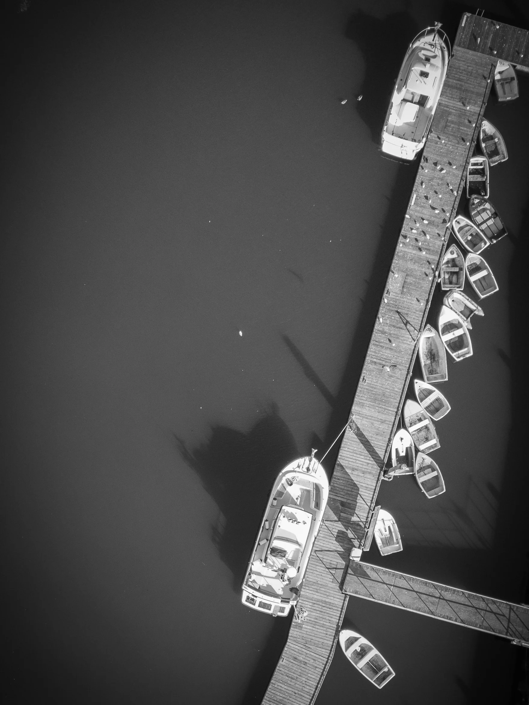 DJI_0023.jpg