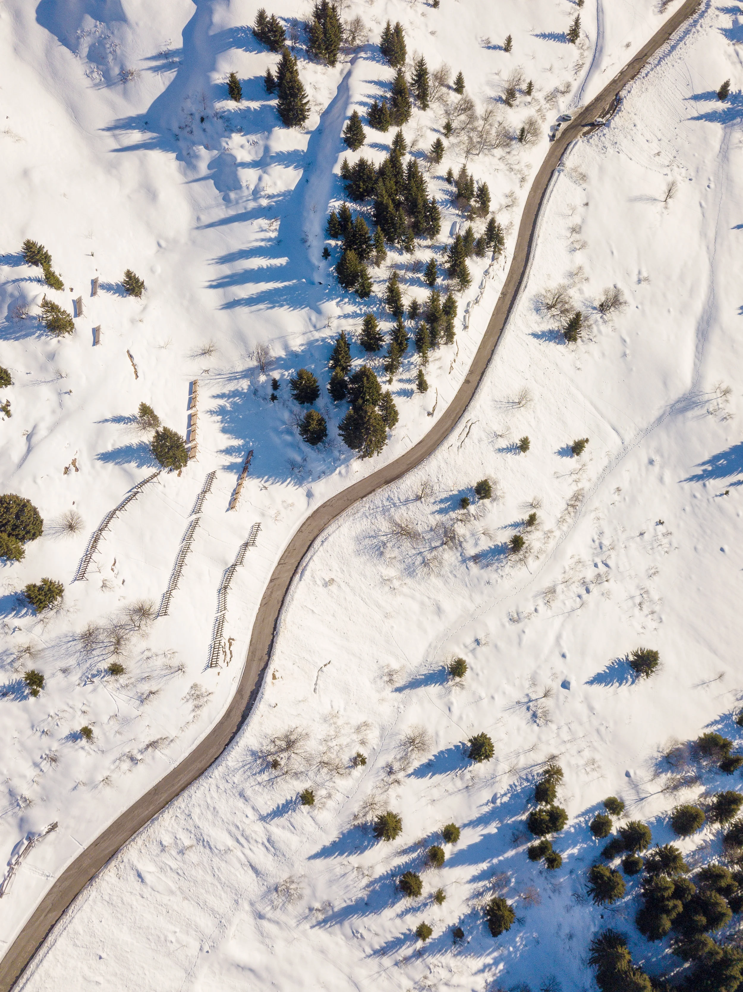 DJI_0113.jpg
