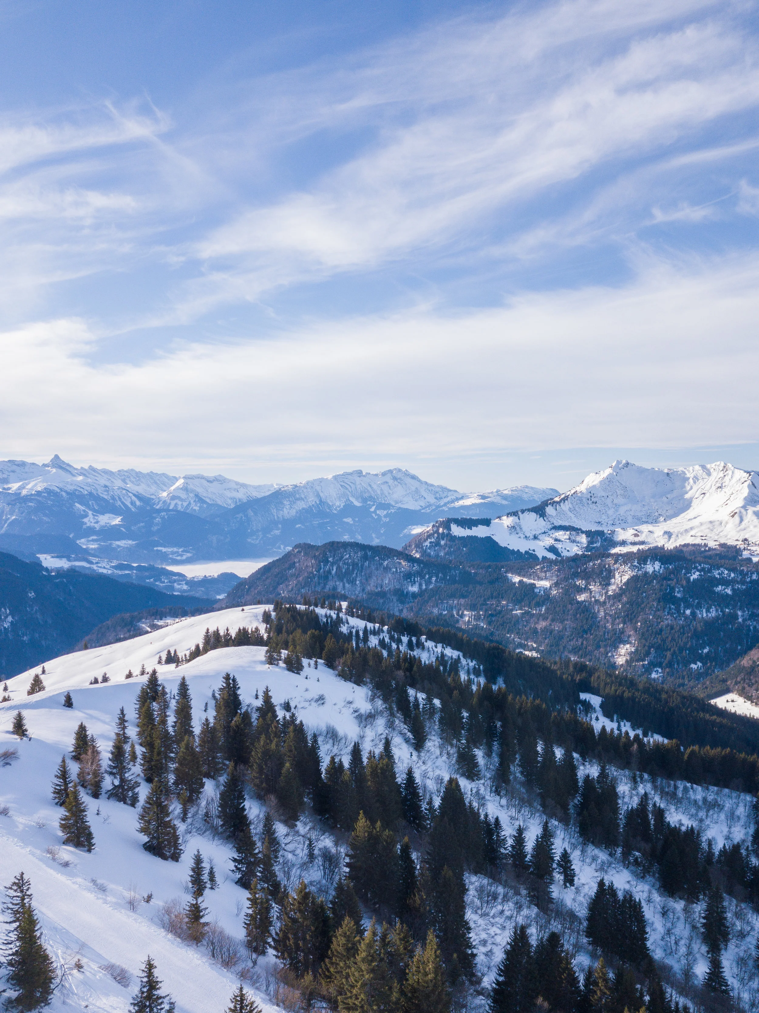 DJI_0139.jpg