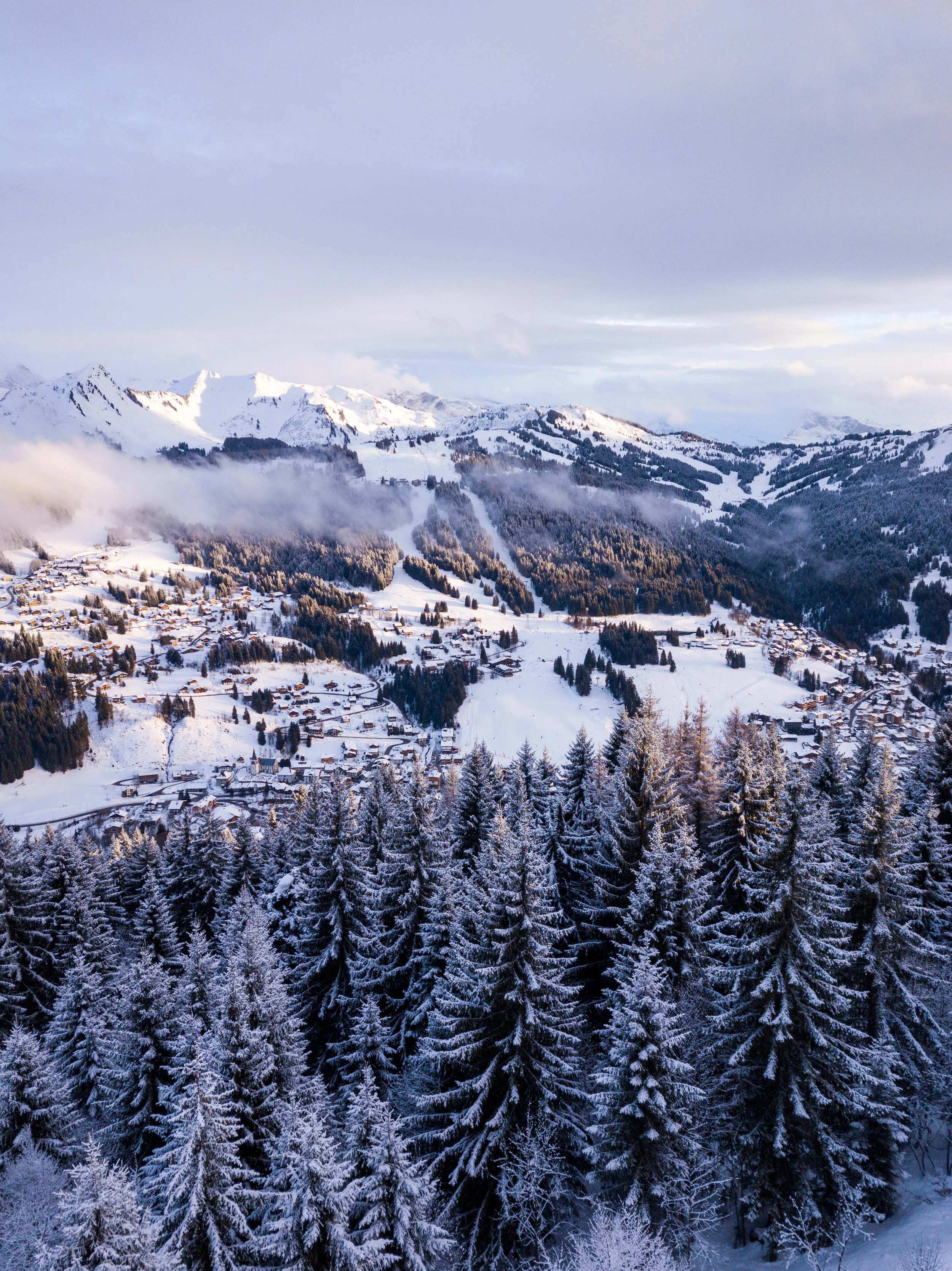 DJI_0193.jpg
