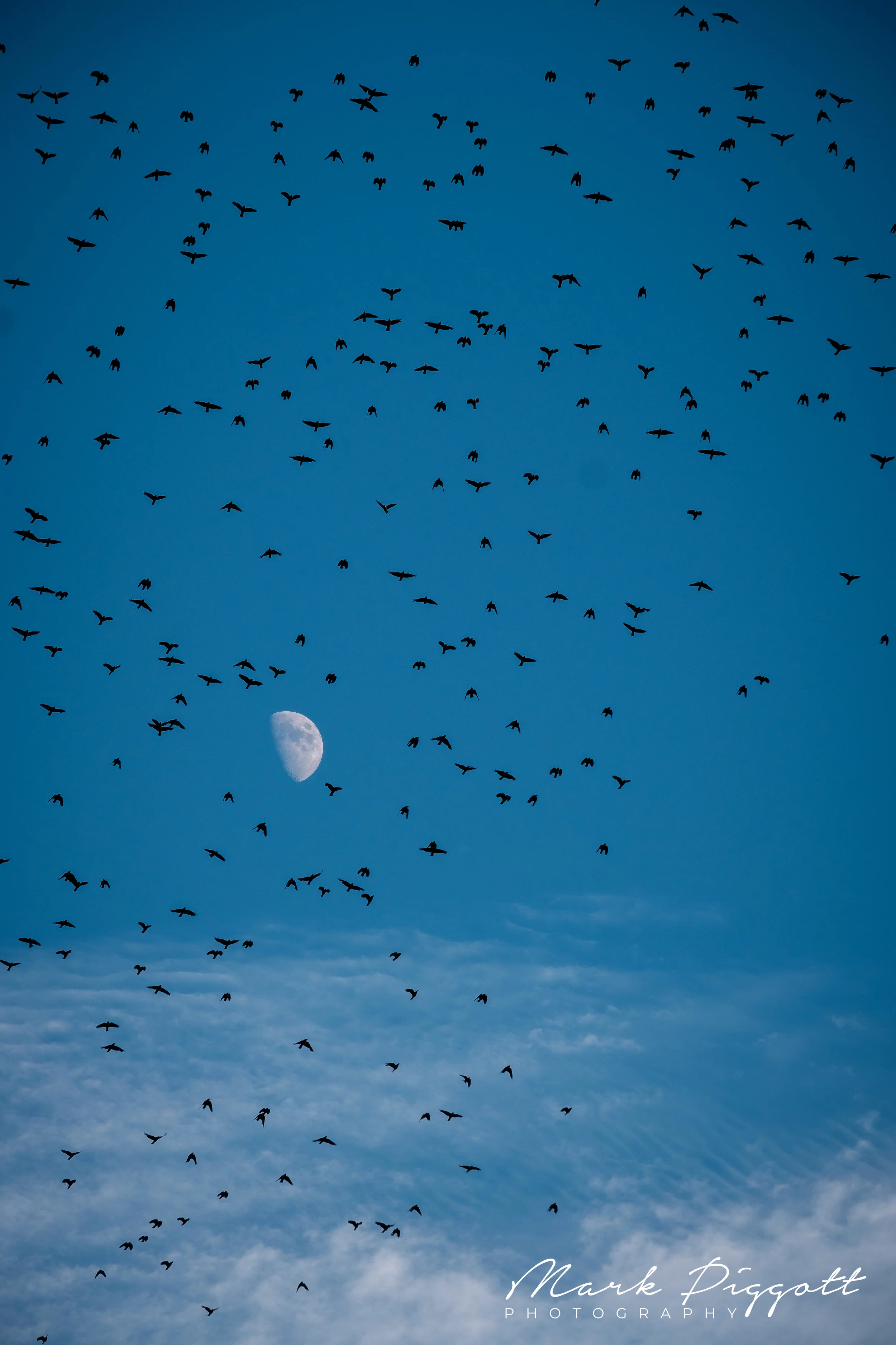 DSCF2704-Edit.jpg