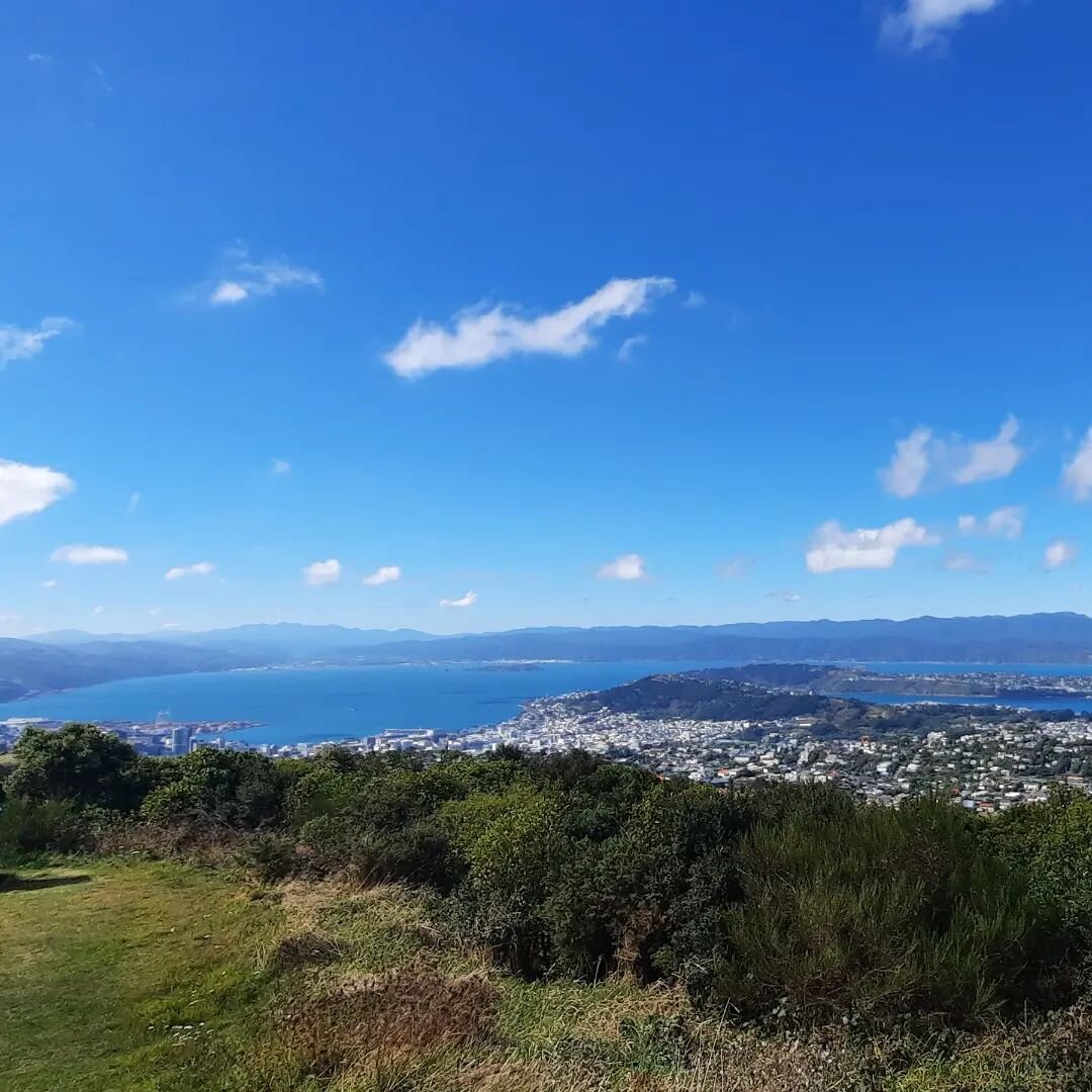 Can't beat Wellington on a good day!
Views of the city, harbour and surroundings from the Brooklyn Wind Turbine on our From Cave to Coast Highlights Tour today.