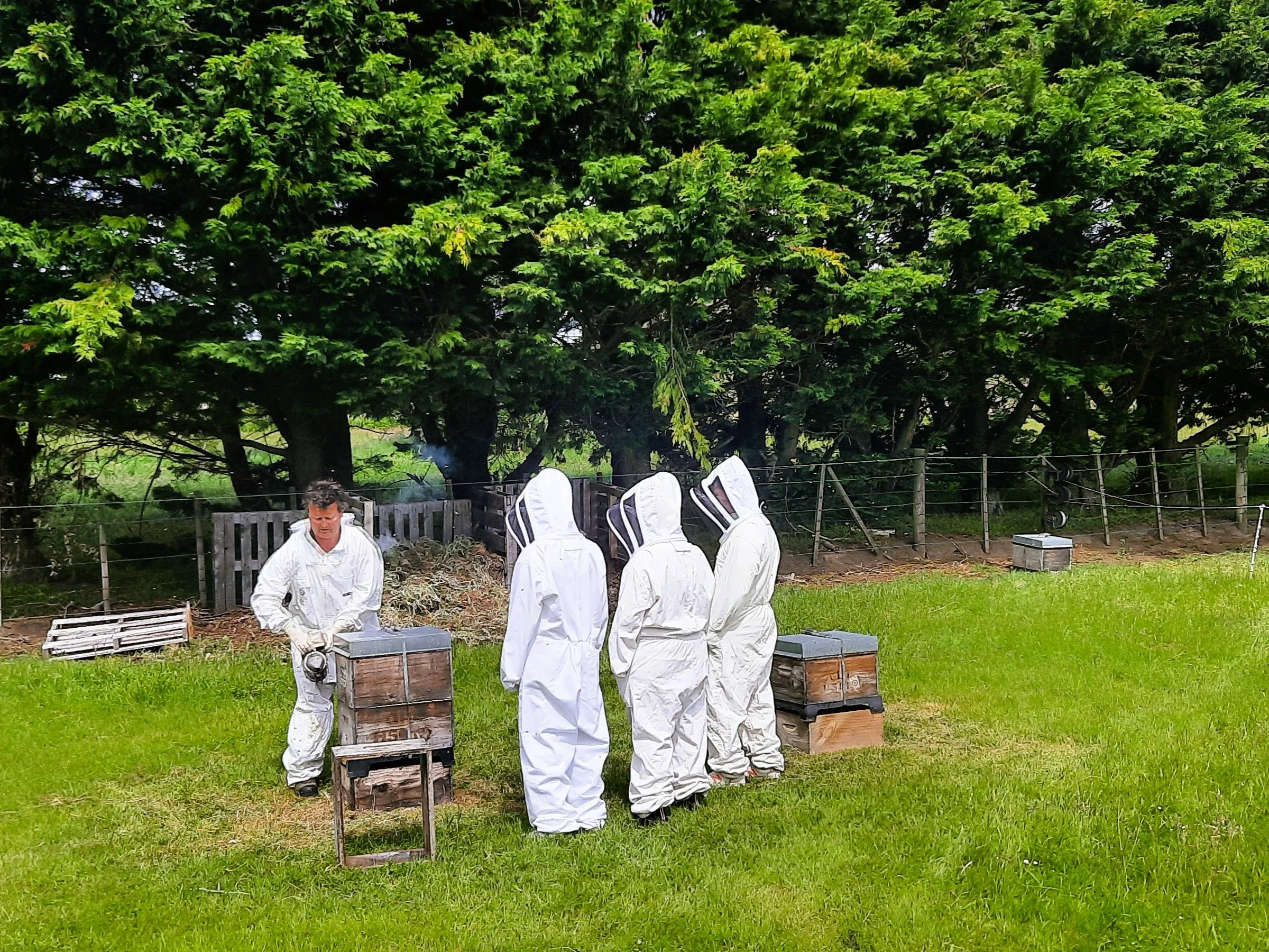 Greytown Honey - Beekeeper Experience -01.JPG