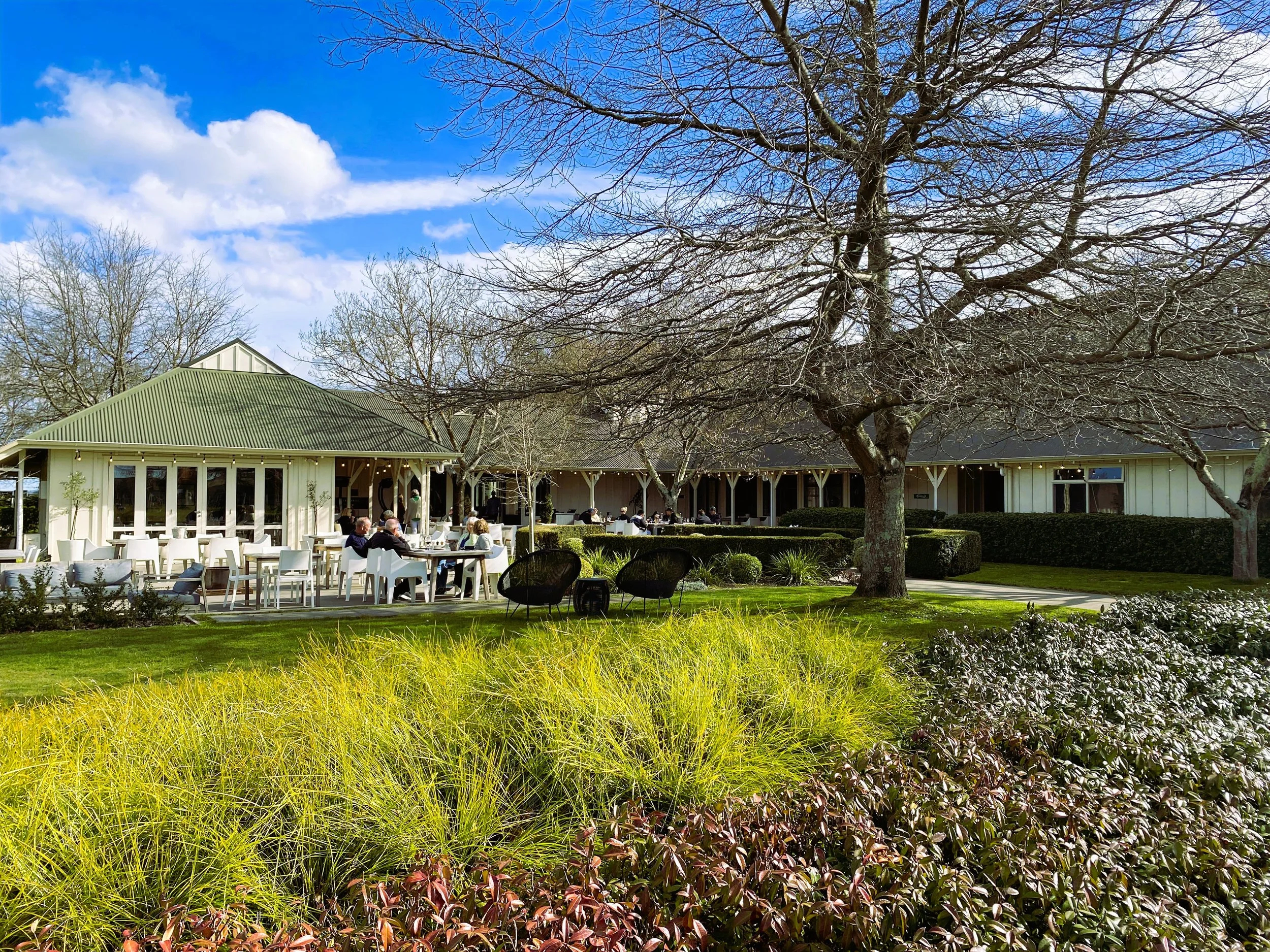 Wine tasting at Palliser.jpg