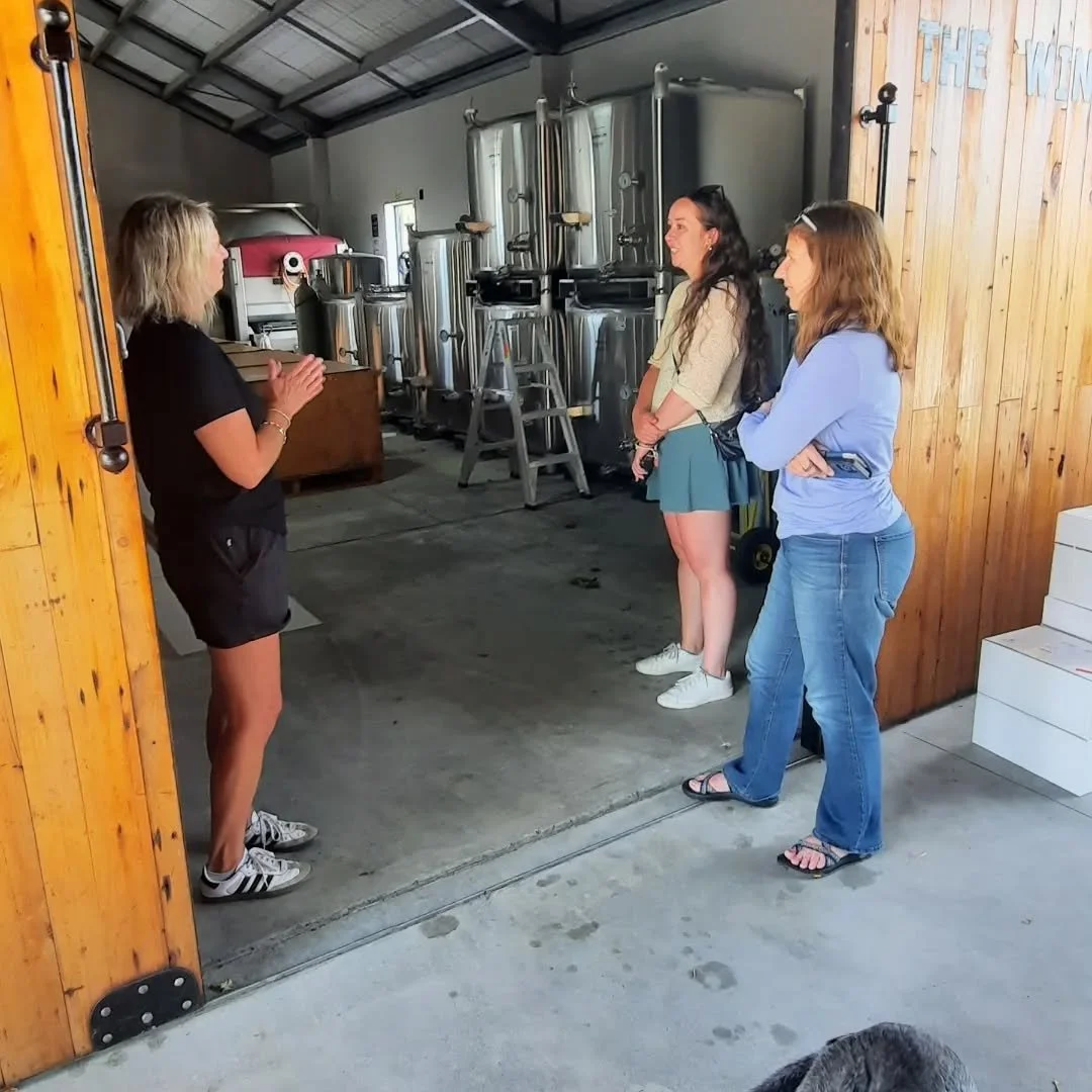 MW&FT (vineyard walk-05).jpg