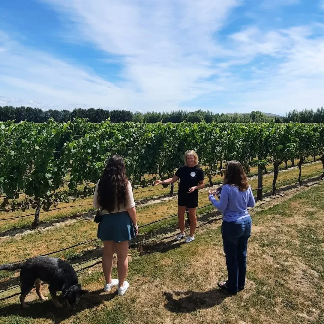 MW&FT (vineyard walk-06).jpg