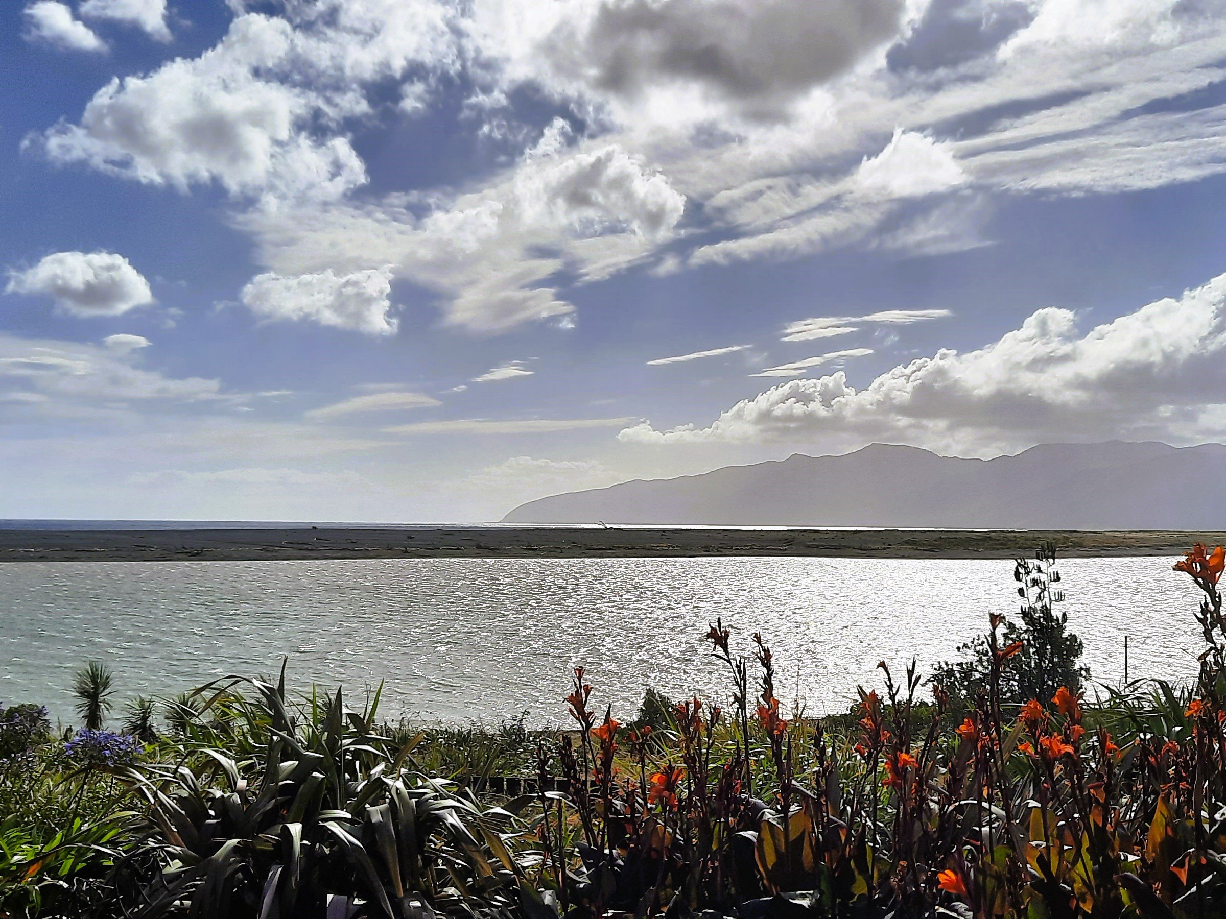 W&WCT feature image (Cape Palliser-04).jpg