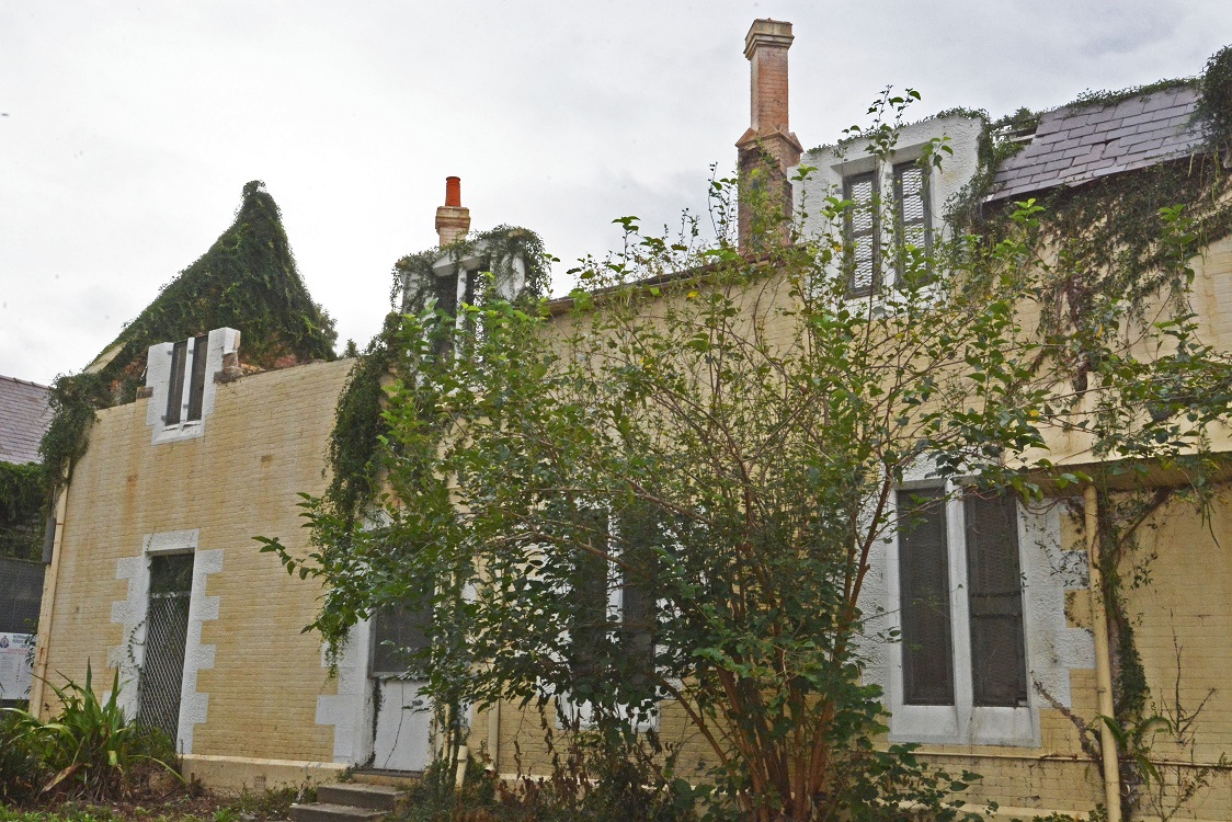 DSC_9977AR.jpg