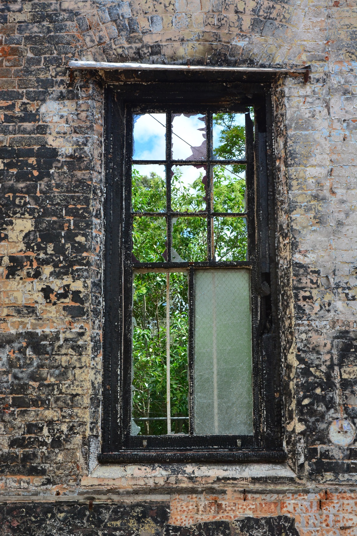 DSC_0045R.jpg