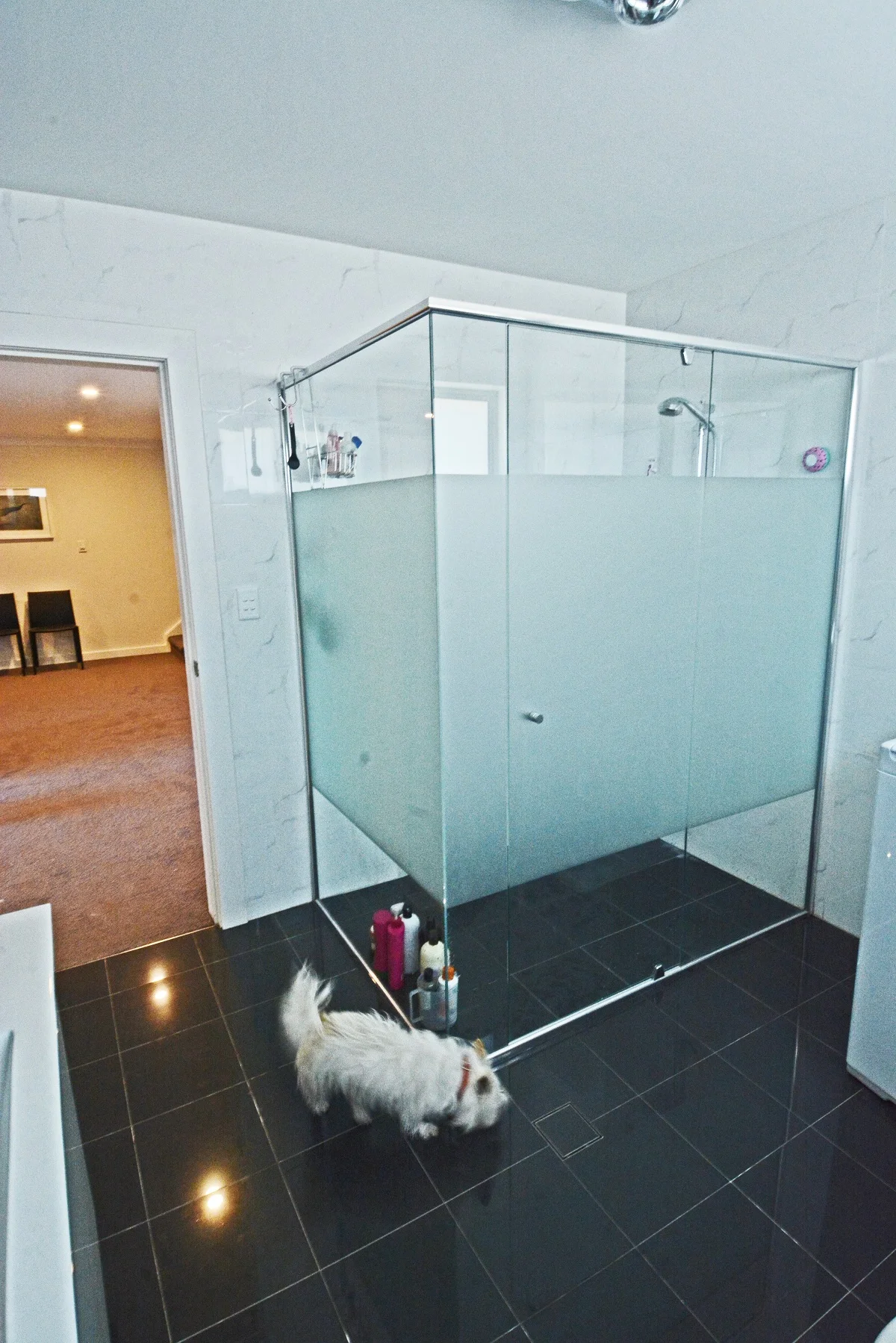 DSC_4581AR.jpg