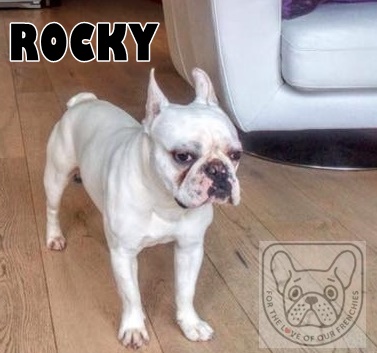 RockyH.jpg