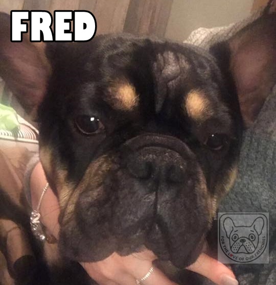 FredG.jpg