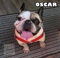 OscarH.jpg