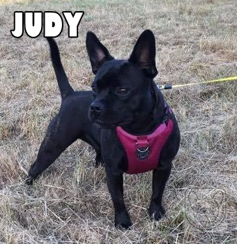 JudyG.jpg