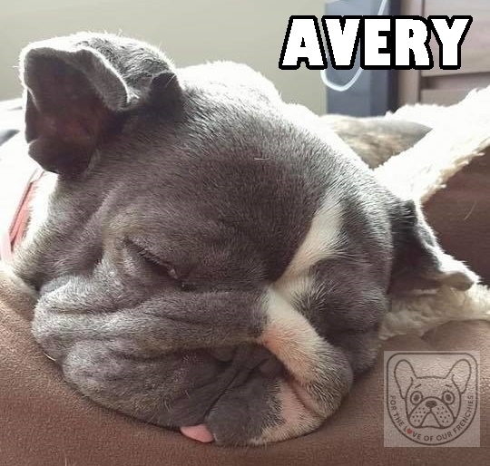 Avery nap.jpg