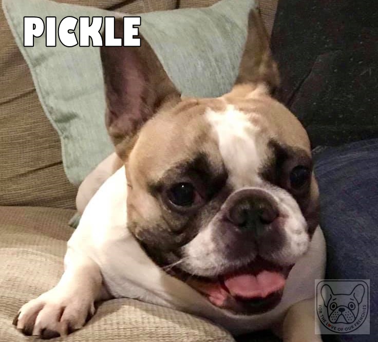 PickleG.jpg