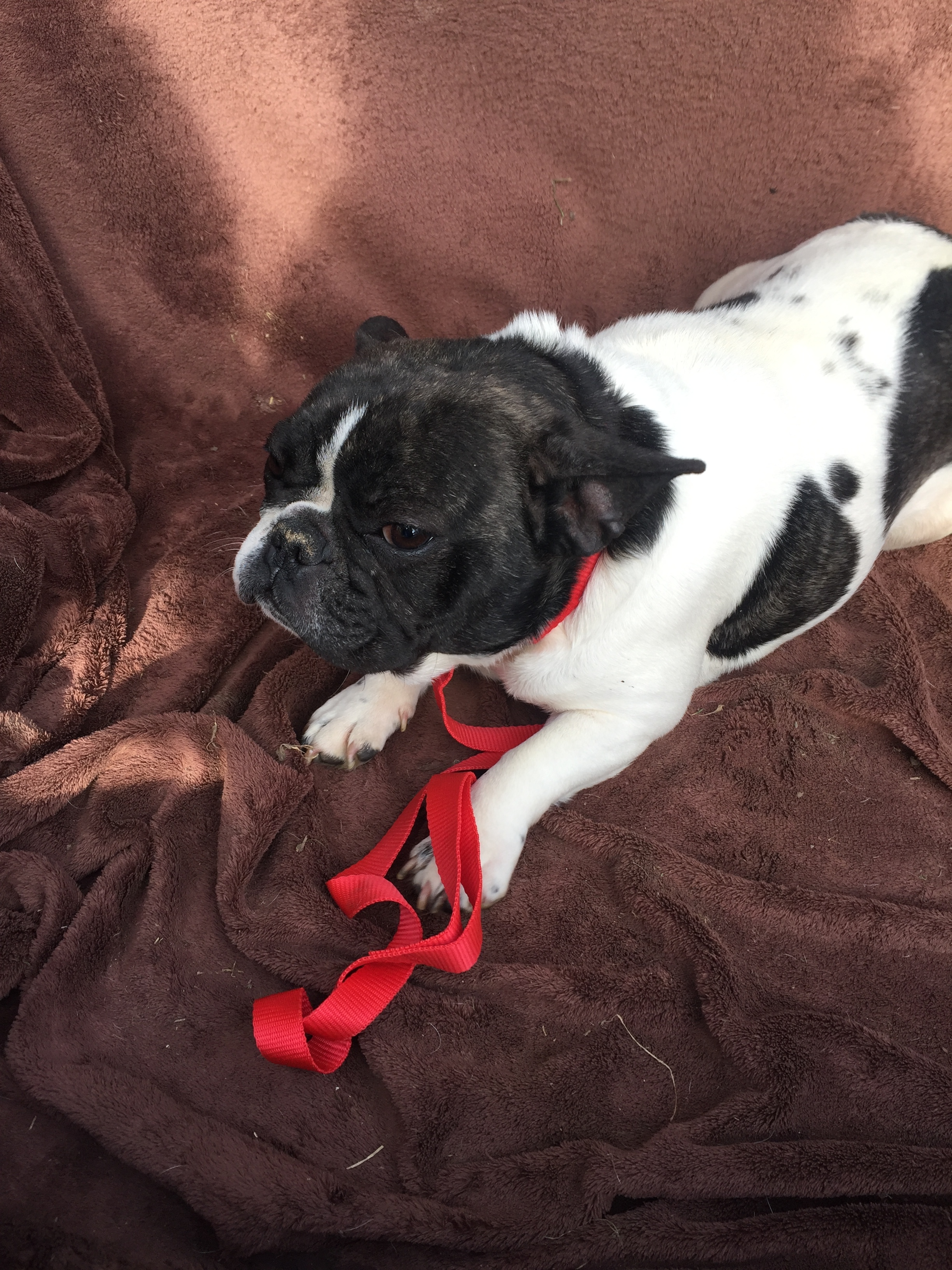 It was for sale .....