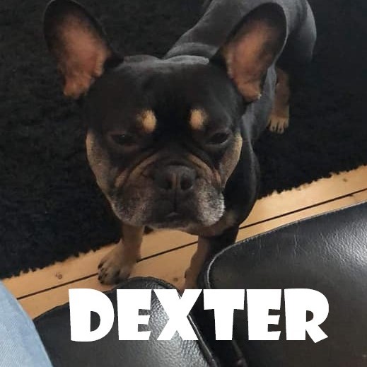 DEXTER.jpg