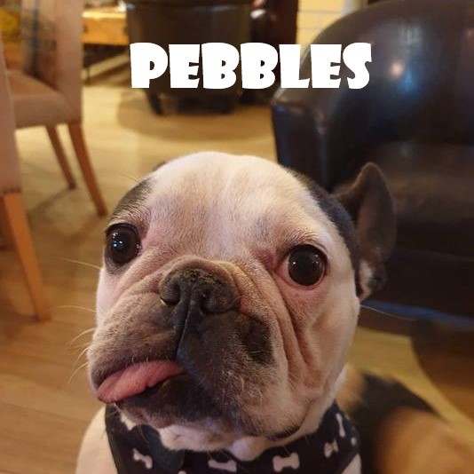 PEBBLES.jpg