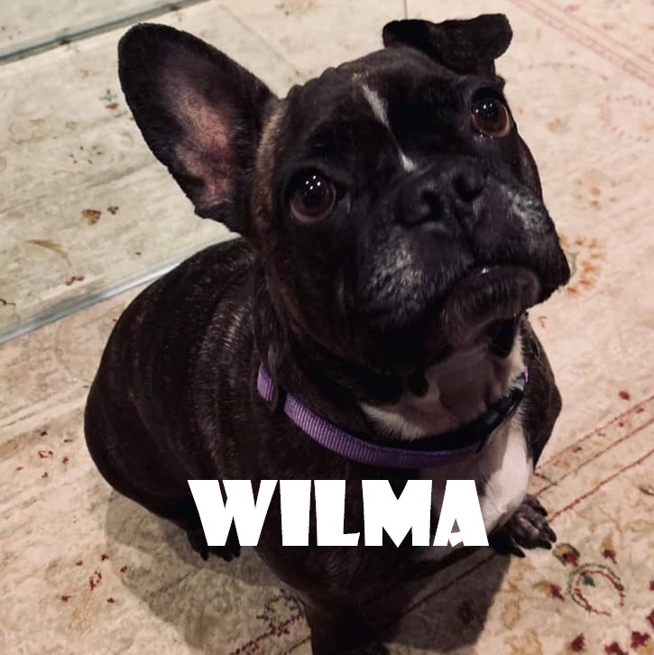 WILMA.jpg