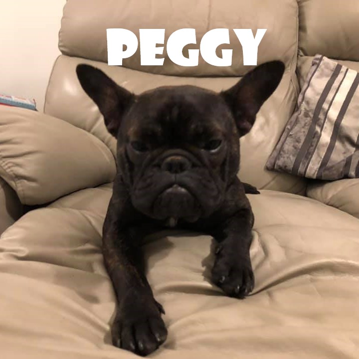 peggy.jpg