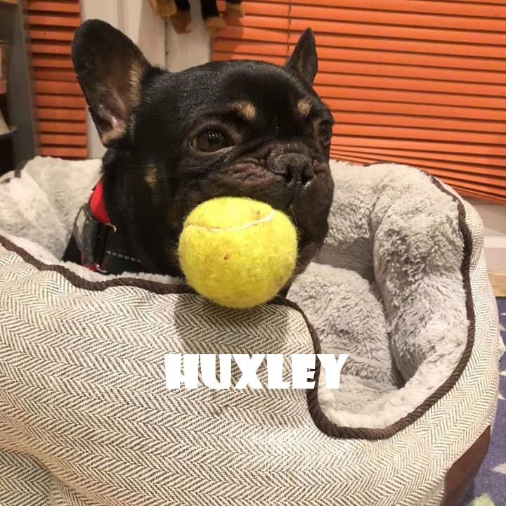 HUXLEY.jpg