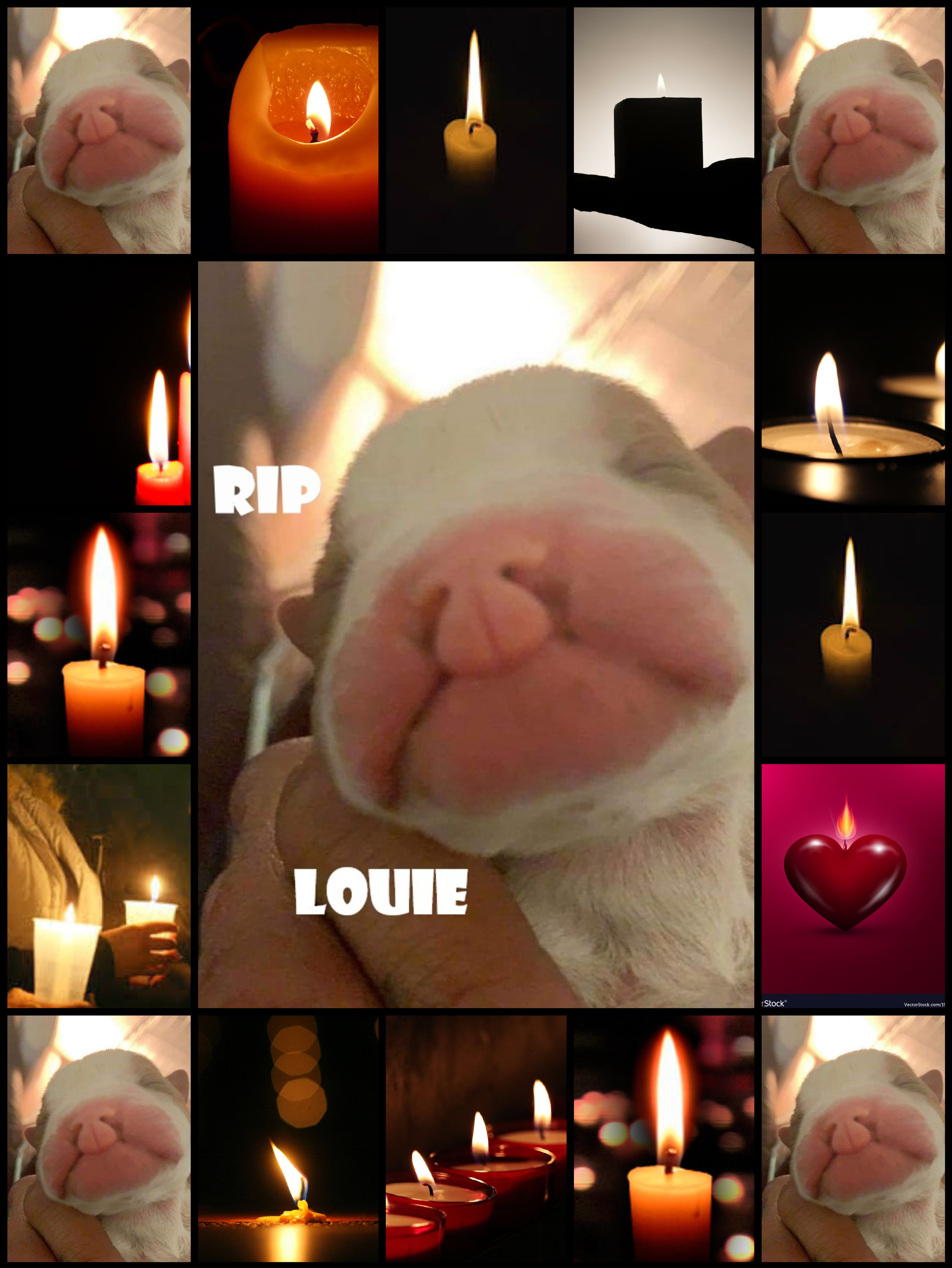 LOUIE RIP (1).jpg