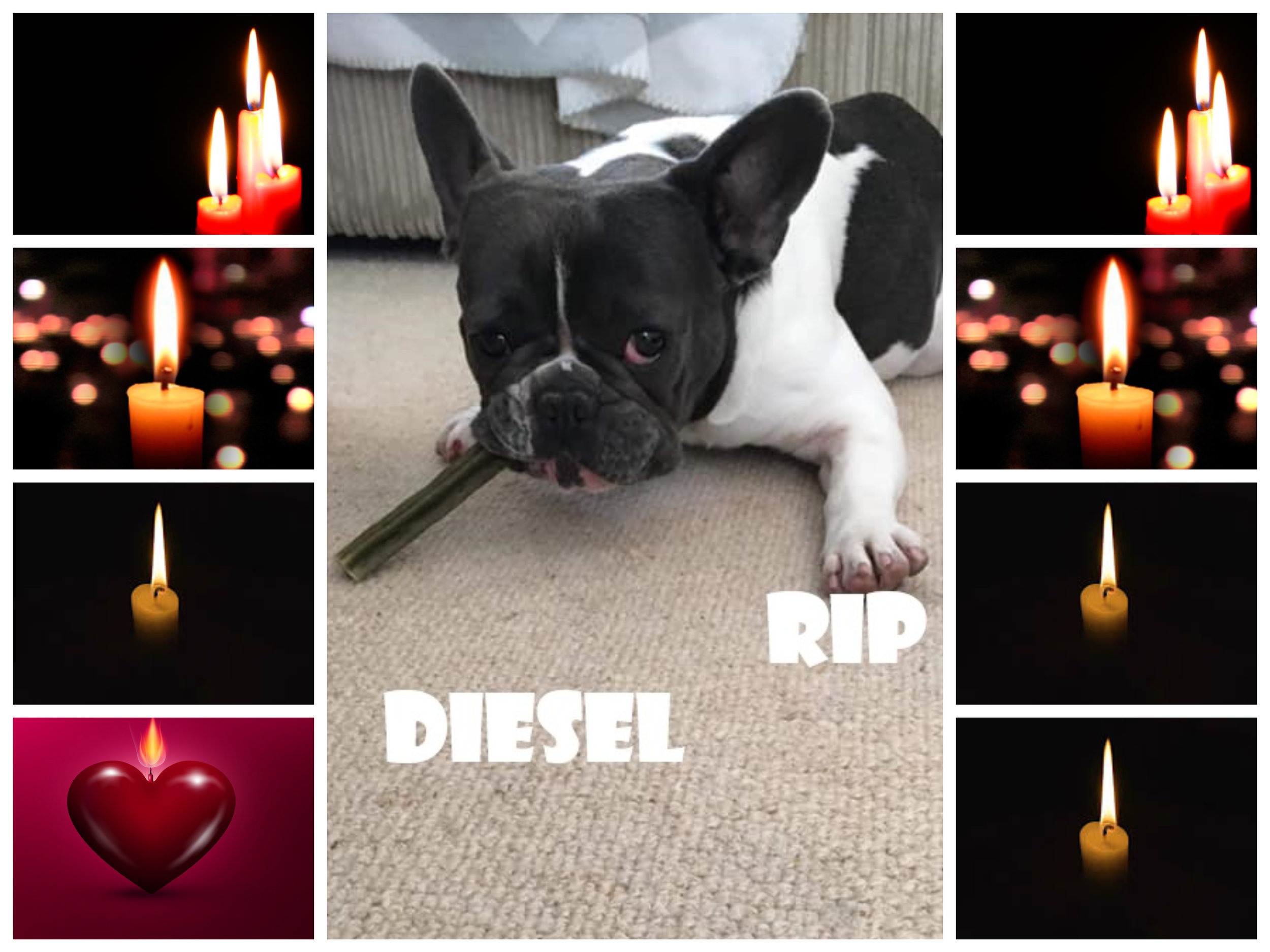 DIESEL RIP.jpg