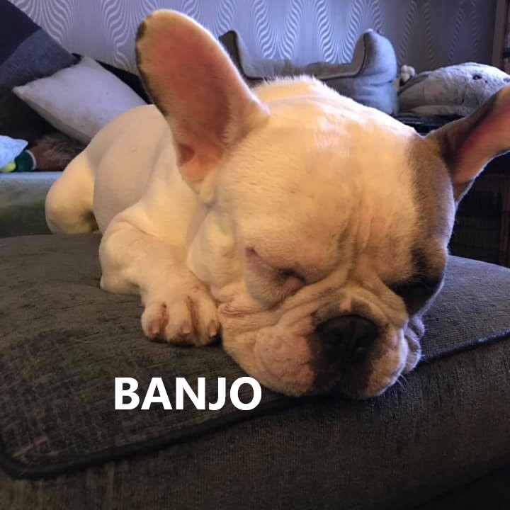 BANJO 6.jpg