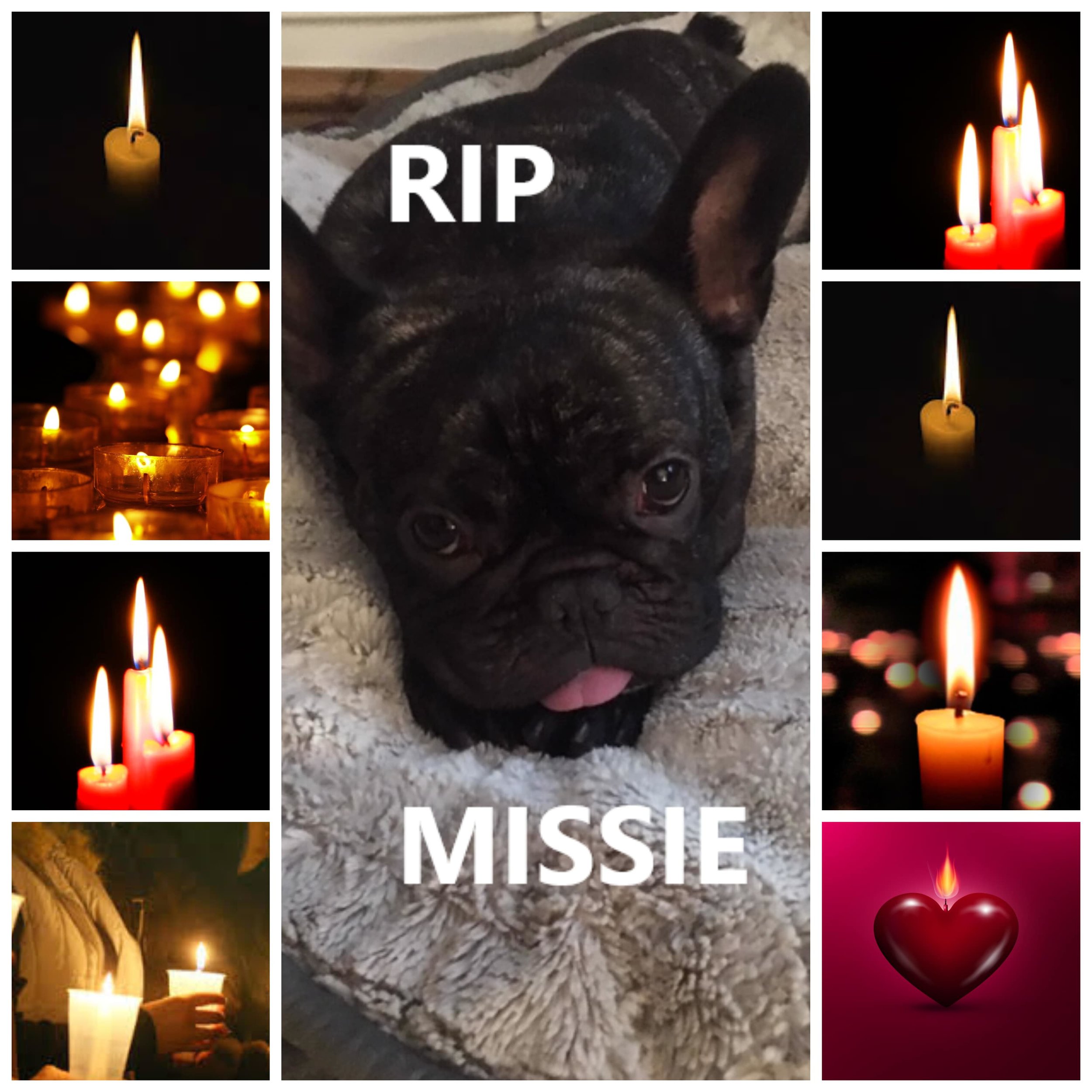 MISSIE RIP-min.jpg