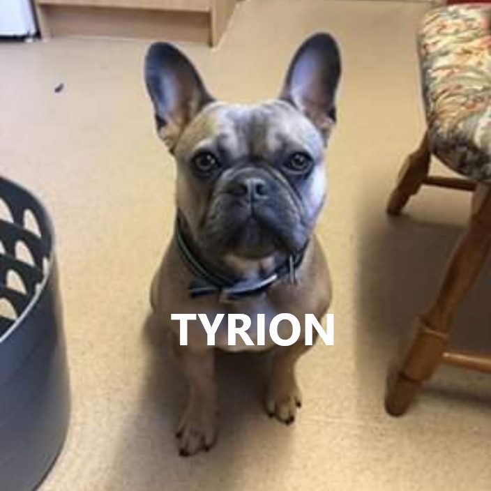 tyrion.jpg