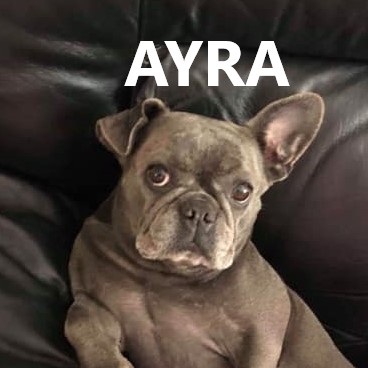 ARYA.jpg