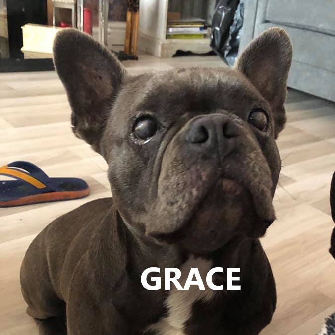 GRACE.jpg