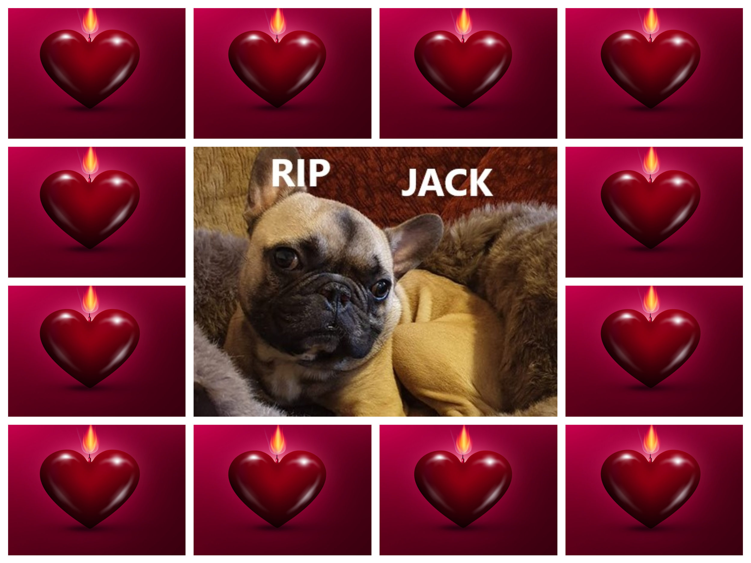RIP JACK.jpg
