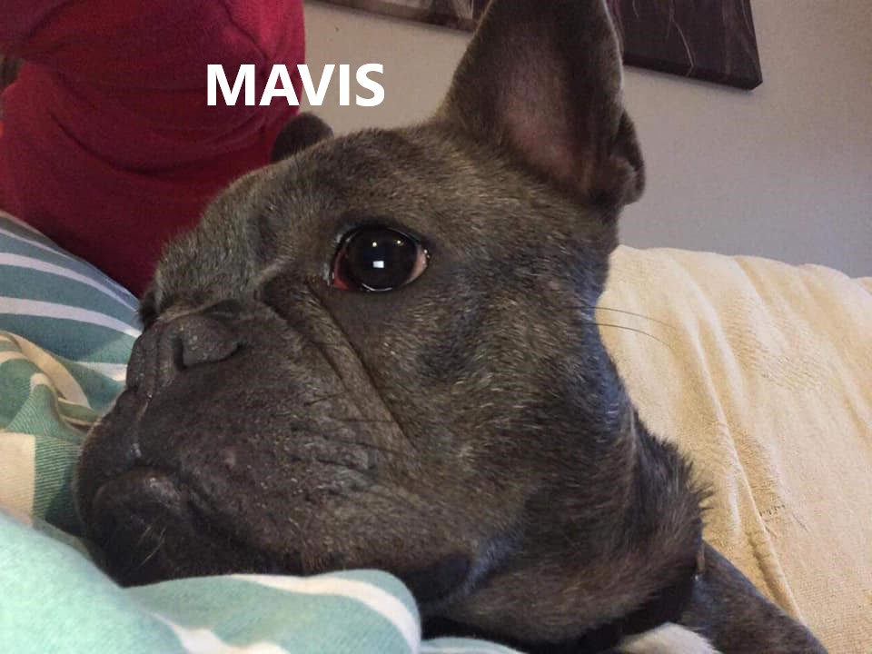 MAVIS.jpg