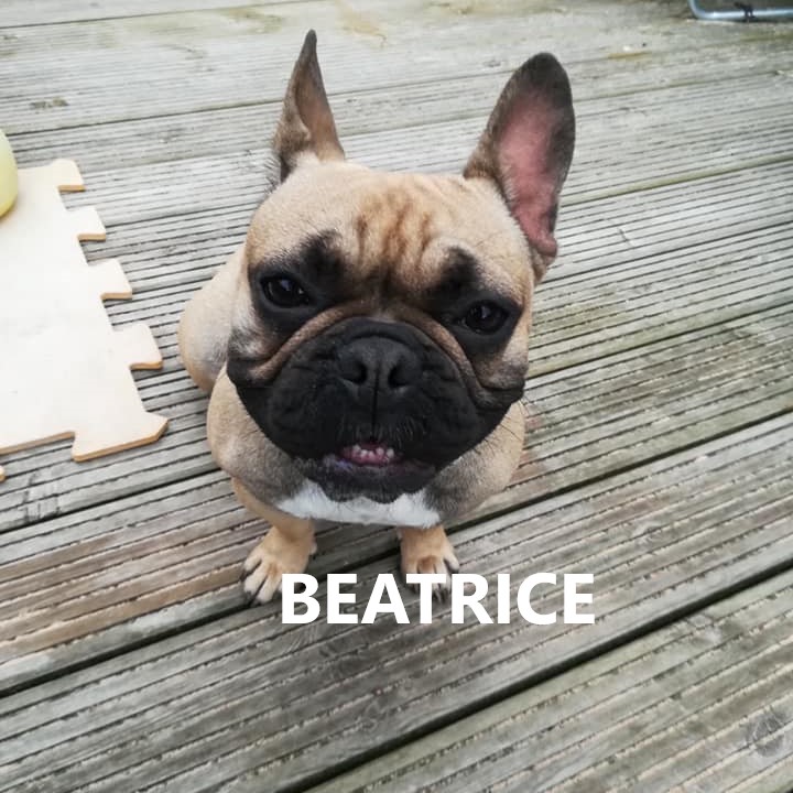 beatrice.jpg