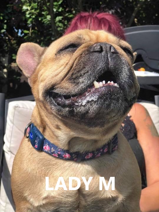 lady m.jpg