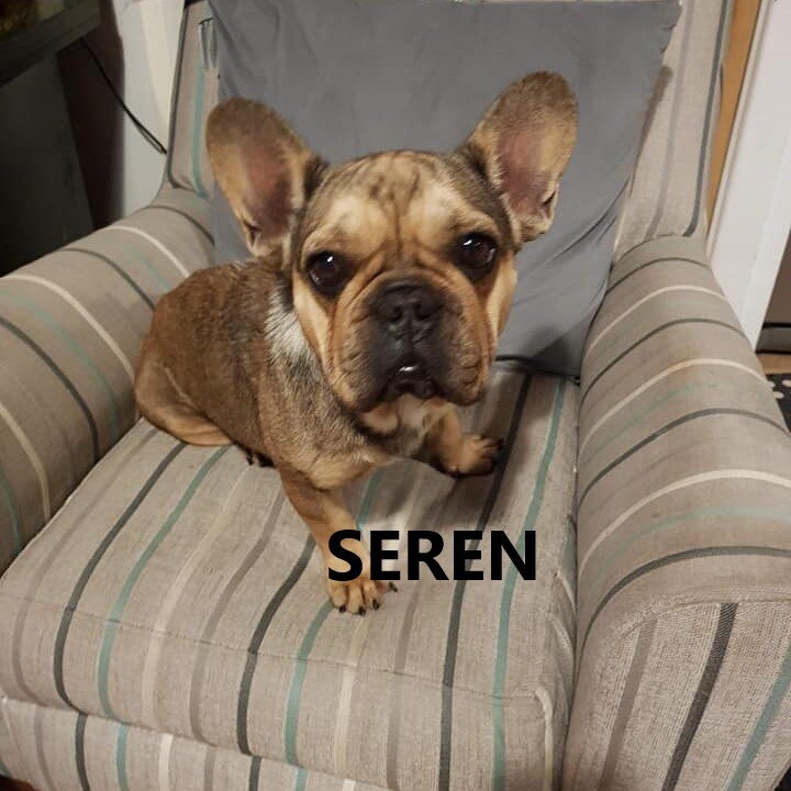 seren.jpg