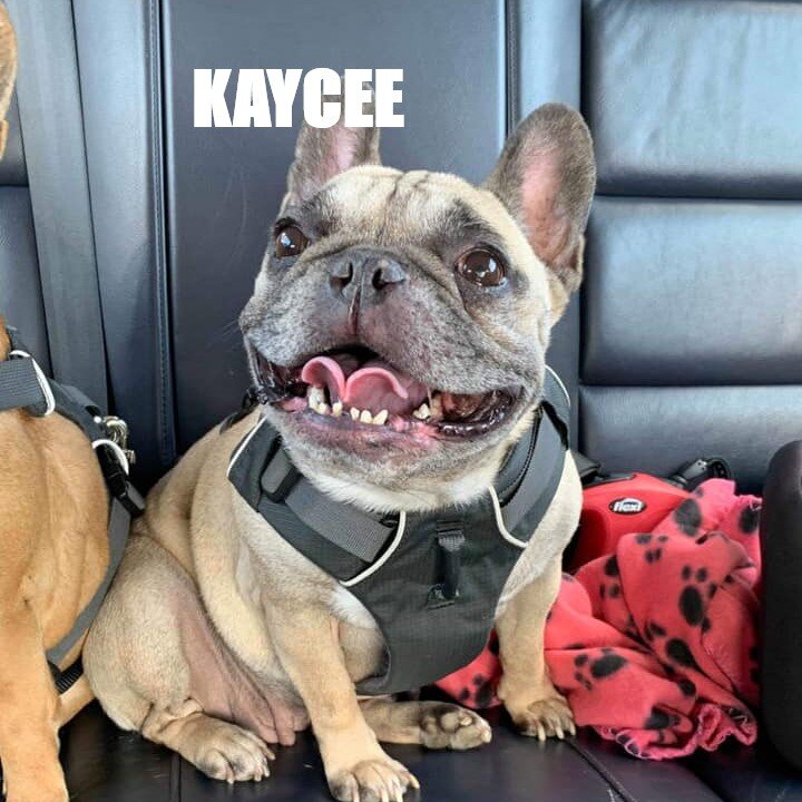 kaycee.jpg