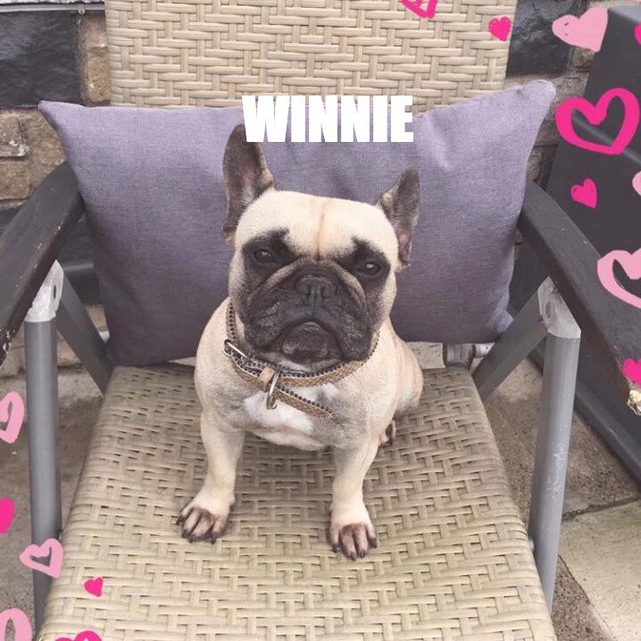 winnie.jpg