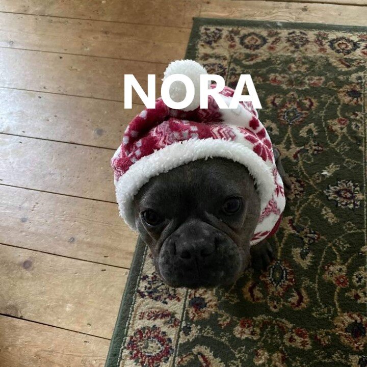 nora.jpg