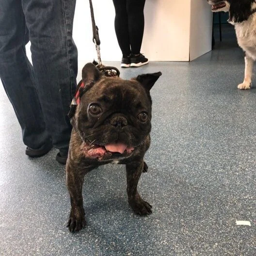 Getting used to it here at the Vets, they even know me by my first name xx