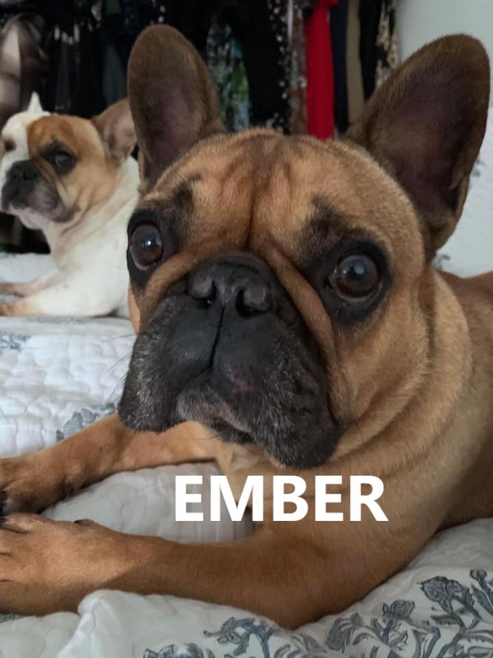 ember.jpg