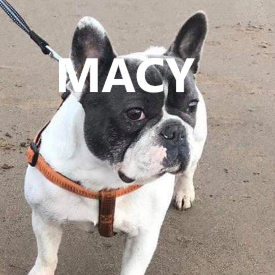 macy.jpg